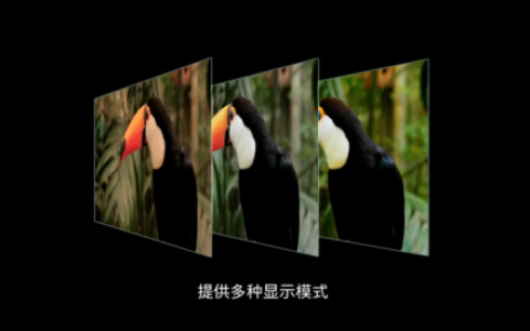 双奖加身！长城汽车灵彩画质引领车载显示画质新标准