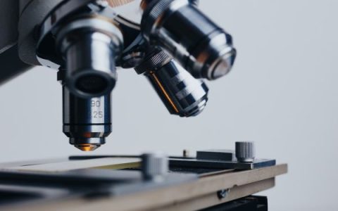 克服运行中原子损耗限制 能自行修复的量子计算机问世