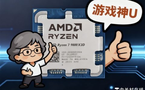 突破千帧！AMD锐龙7 9800X3D游戏性能实测