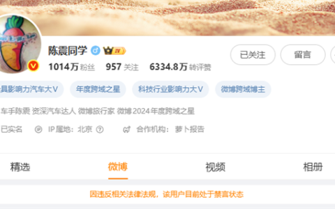 车圈网红陈震被全平台禁言！小号回应：好好反思一下