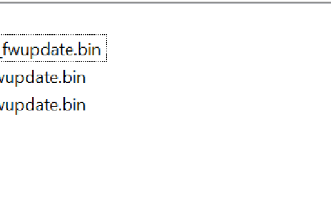 遗憾缺席CES：Intel旗舰锐炫B770显卡现身驱动程序