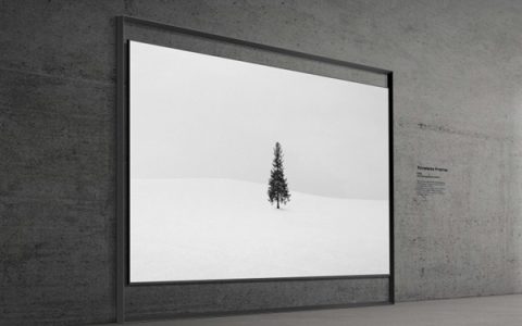 三星发布全球首款130英寸Micro RGB电视！支持100% BT.2020色域