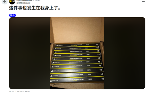 网友网购一条32GB DDR5内存 打开包裹目瞪口呆：竟收到十条