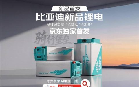 京东首发比亚迪五款轻型锂电新品 品质联盟加码锂电出行升级