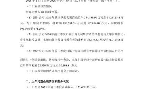 沐曦股份前三季度营收同比翻倍，净利润扭亏为盈